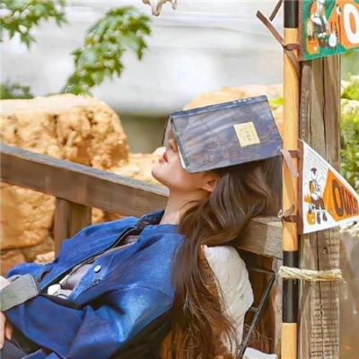 野良与皇女与流浪猫之心